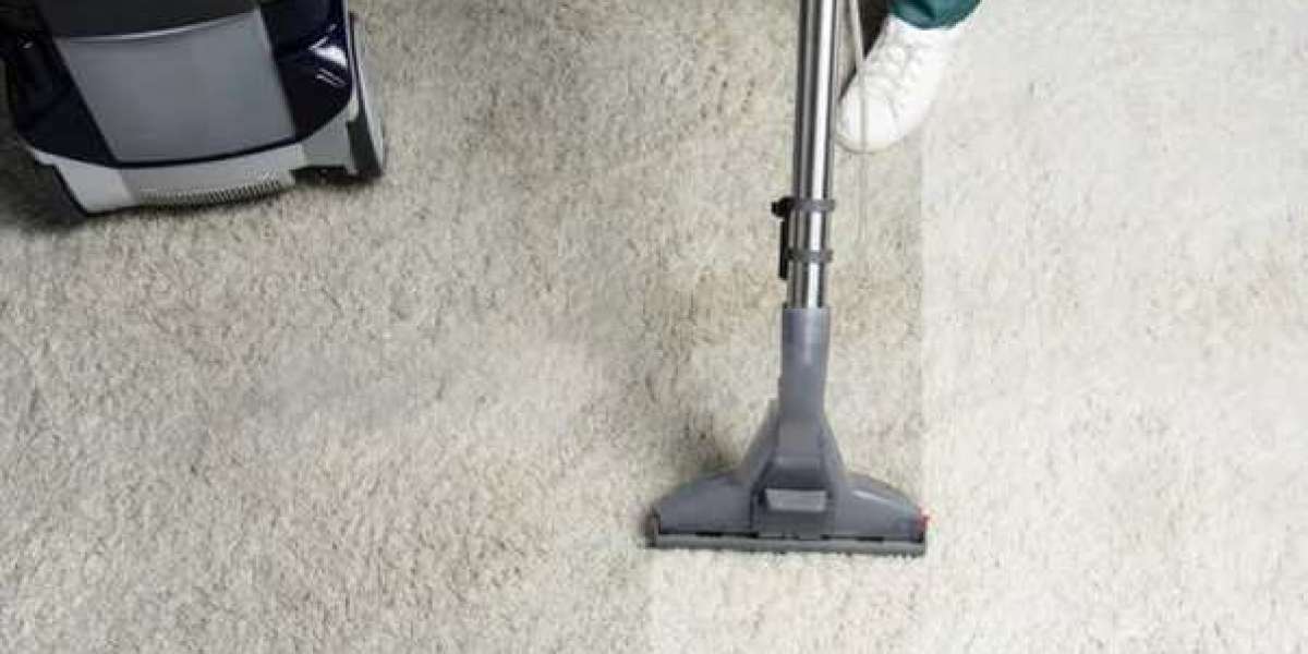 Why Professional Carpet Cleaning is Essential for Oakville Homeowners