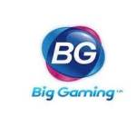 Big Gaming Profile Picture