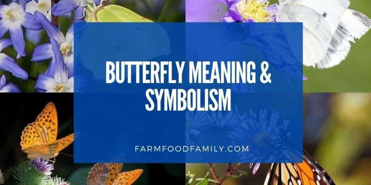 The Spiritual Meaning of Butterflies: A Symbol of Transformation and Hope