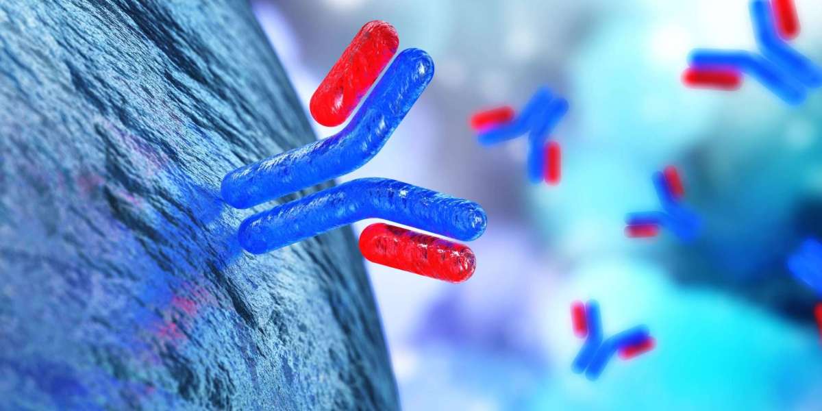Monoclonal Antibody Therapeutics (mABs) Market Size, Share, Growth Drivers, Key Expansion and Forecast 2030