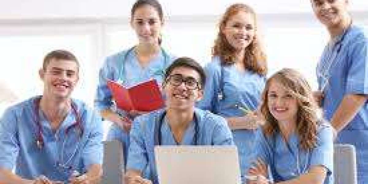 The Importance of a Reliable Nursing Dissertation Writing Service