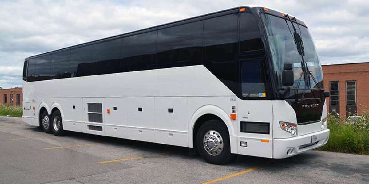 Experience Toronto in Style: The Ultimate Guide to Party Buses