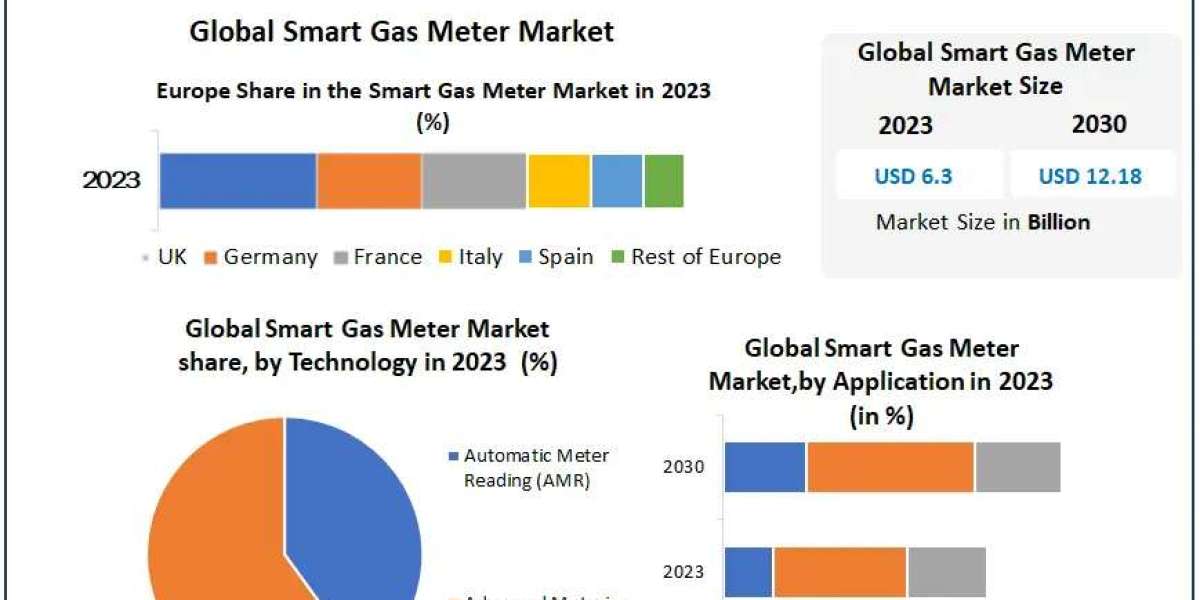 Smart Gas Meter Market 2022-2029: Innovations Driving Seamless Communication Solutions