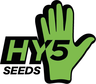 HY5 Seeds - HY5 Seeds