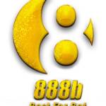 888b dailyman40