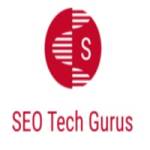 SEO Tech Gurus Profile Picture