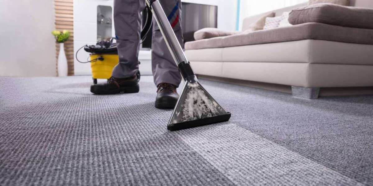 Revealed: The Secret to Prolonging Your Carpet's Lifespan in Oakville