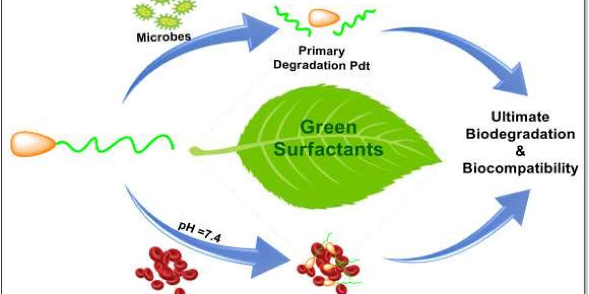 Global Green Surfactants Market Current and Future Industry Landscape Analysis 2034