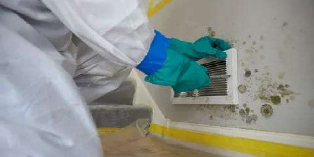 The Mold Remediation Service Market is driven by increased health concerns