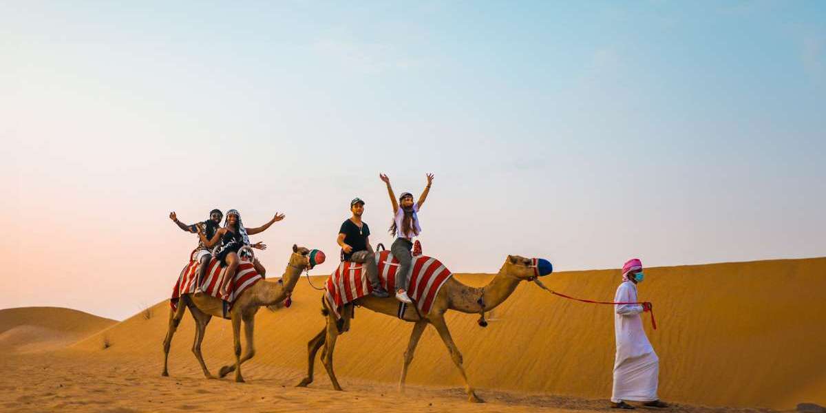 Top places to visit in Dubai for safari