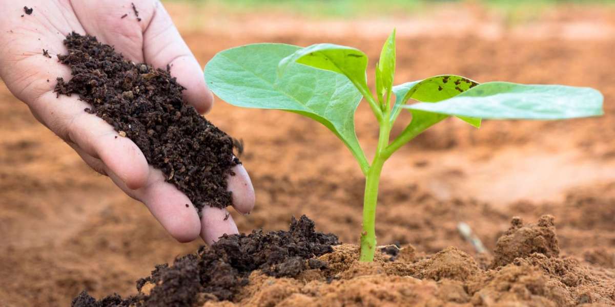 Biological Seed Treatment Market Size,Trend, Report,Forcasts to 2033